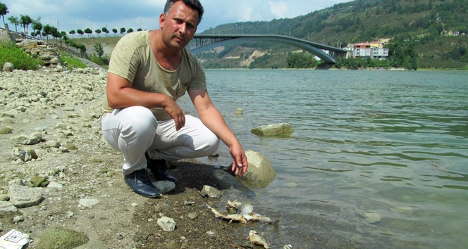 Suat Uğurlu Baraj Gölü’nde toplu balık ölümleri Suat Uğurlu Baraj Gölü’nde toplu balık ölümleri