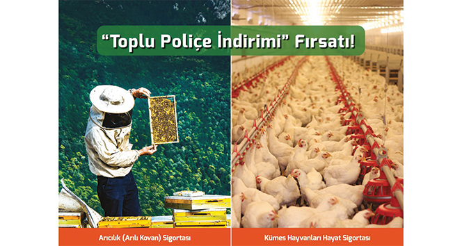 Arı yetiştiricileri ve kanatlı hayvan üreticilerine ‘toplu poliçe indirimi’ fırsatı