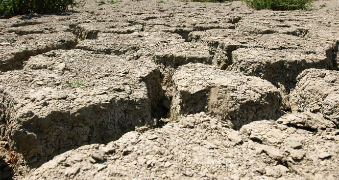 Türkiye’de su kaynakları alarm veriyor